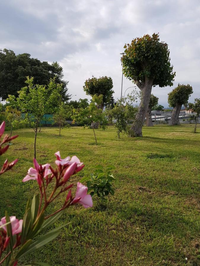 Hotel Patrizia มารีนา ดิ มาซซา ภายนอก รูปภาพ